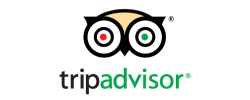 TripAdvisor logo